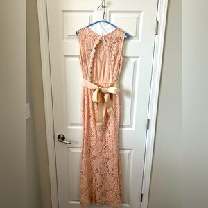 Pale Pink Lace Dresss with Stunning Back